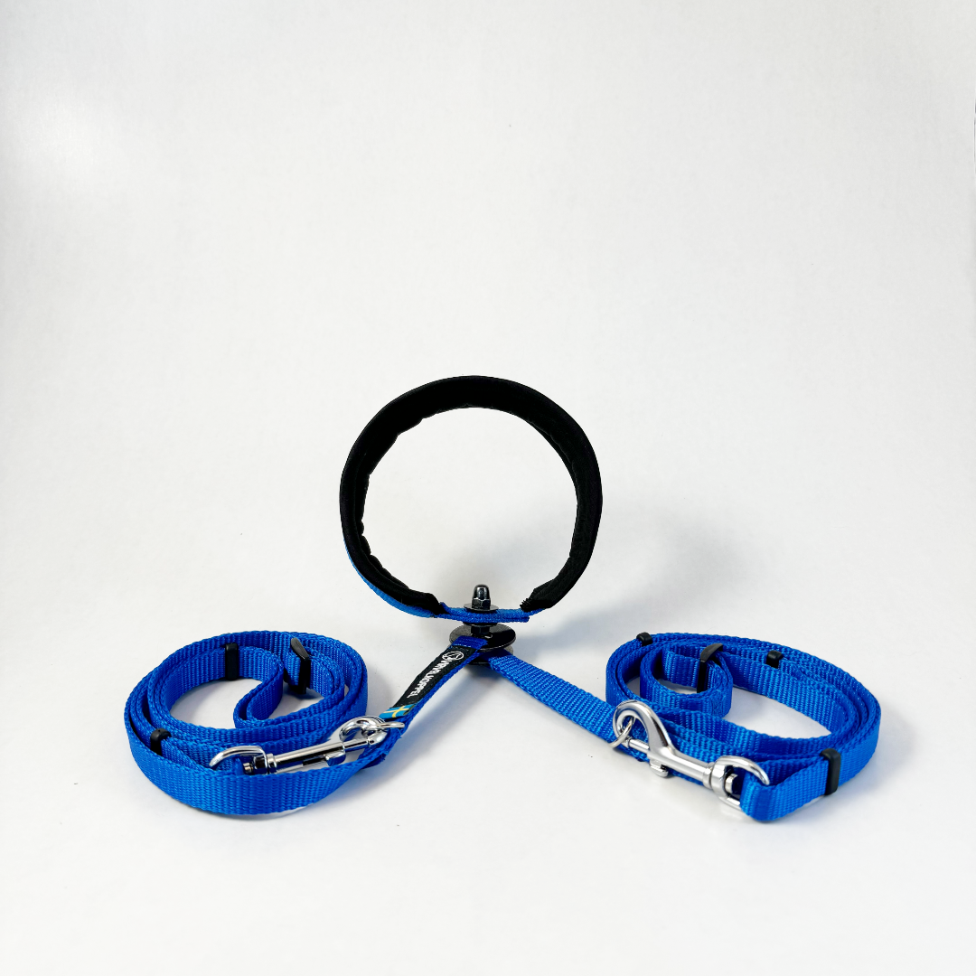 Virvelkoppel for two dogs