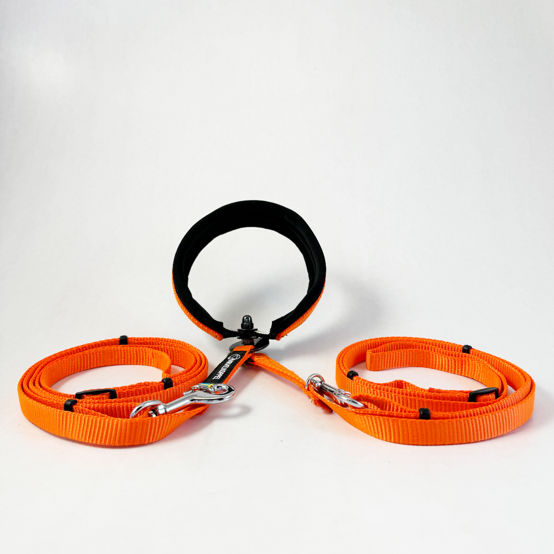Virvelkoppel for two dogs