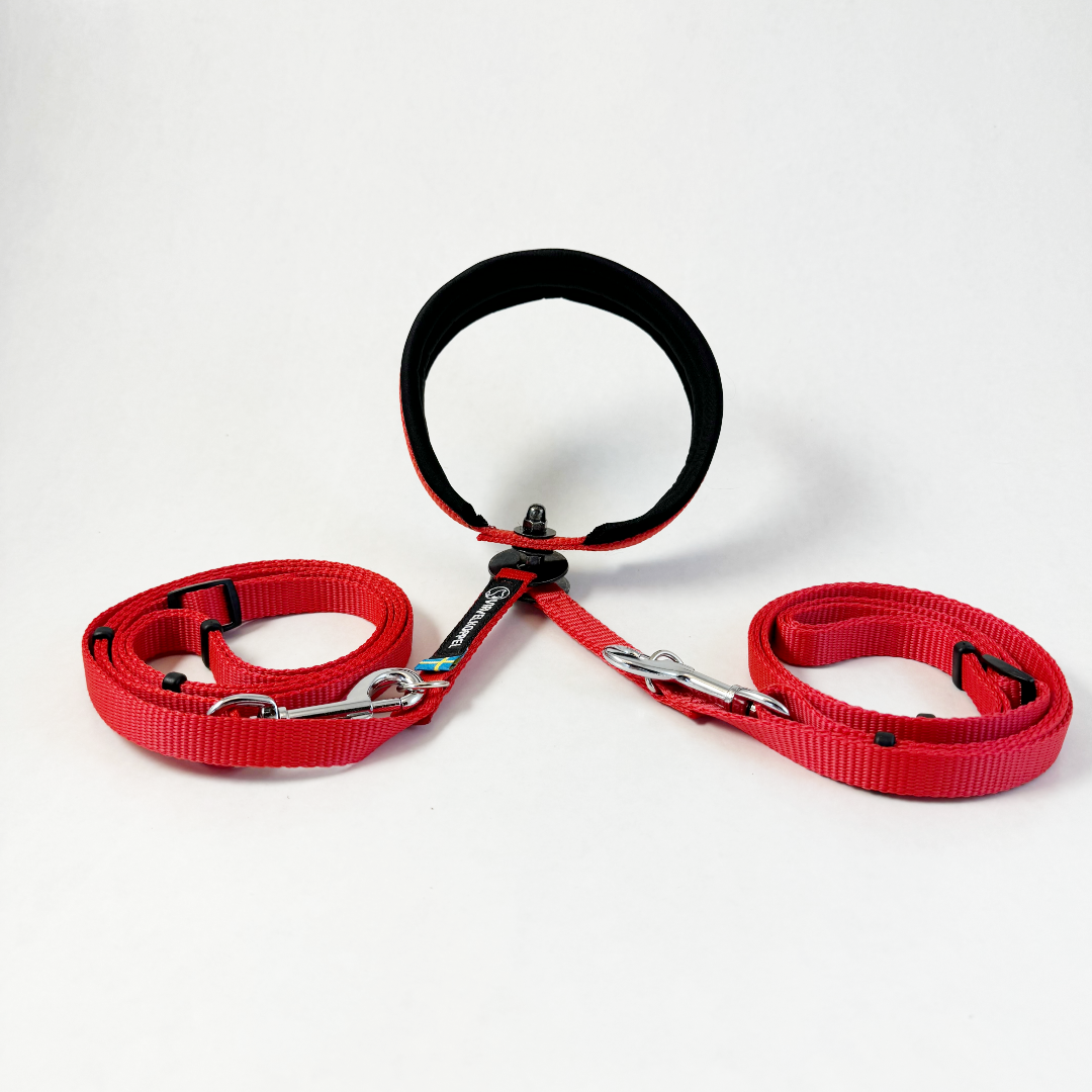 Virvelkoppel for two dogs