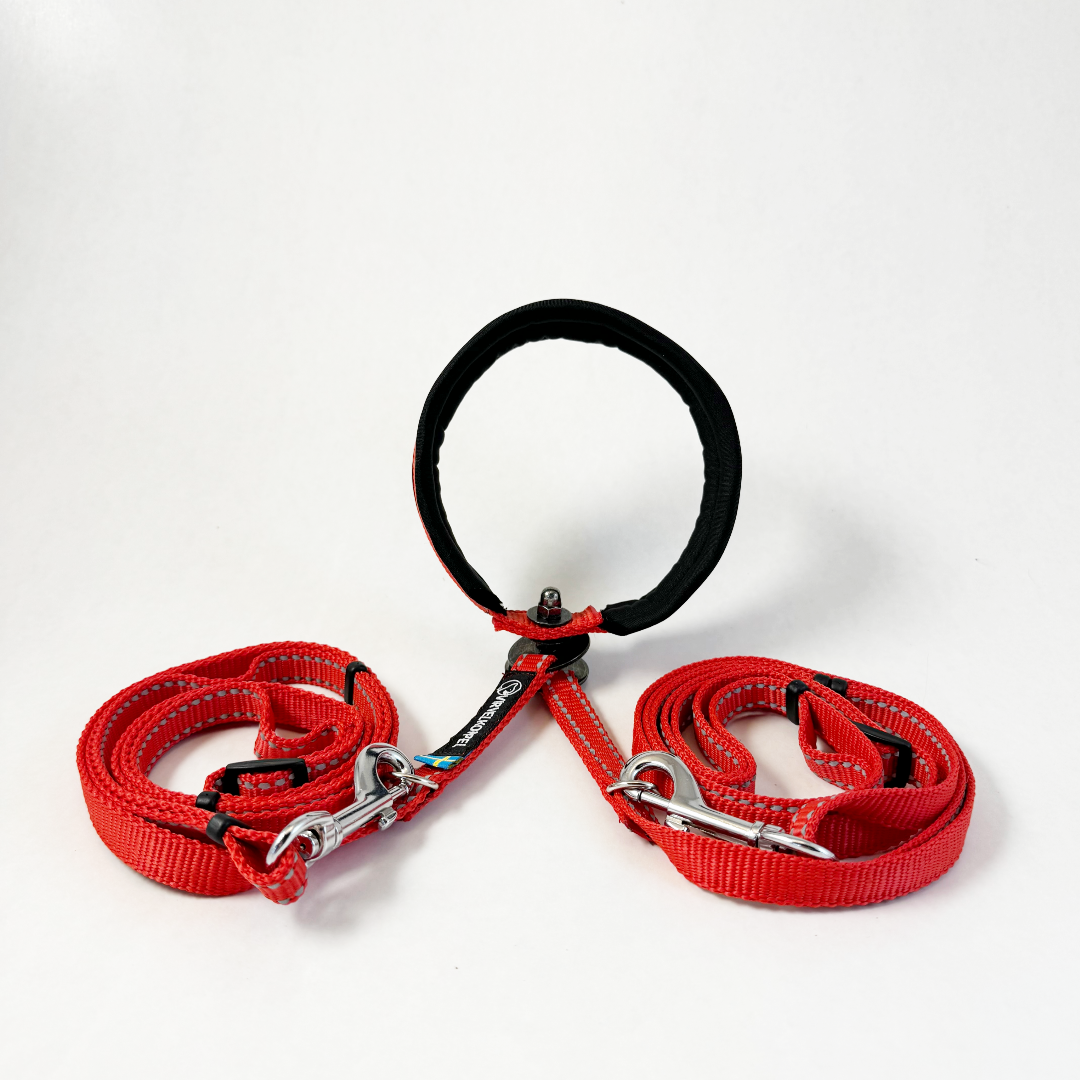 Virvelkoppel for two dogs